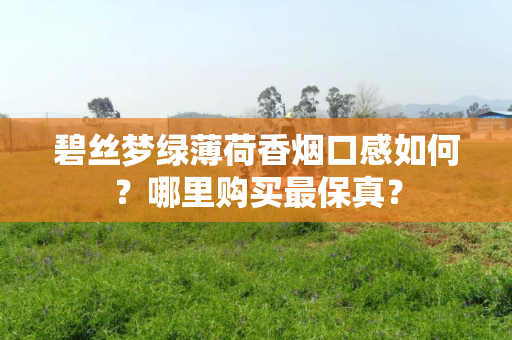 碧丝梦绿薄荷香烟口感如何？哪里购买最保真？